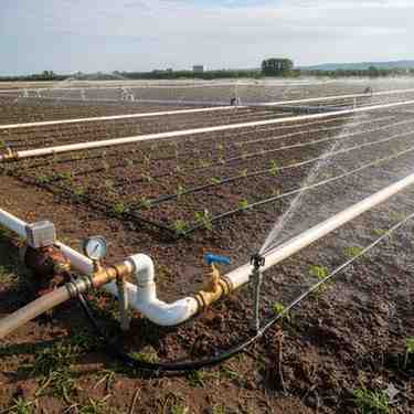 Irrigation Systems icon